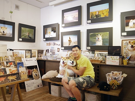 根津にインスタグラムの有名柴犬「まる」のギャラリー 犬連れの来店も歓迎