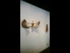根津の喫茶ギャラリーで田村雅紀さん作品展 「命の在り方」をオブジェに