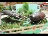 梅田で昆虫の生態学ぶイベント「昆虫GO!」 5体の巨大昆虫ロボも