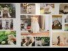 ルクア大阪で猫作品を集めた「ねこ休み展」 写真やアート作品など400点