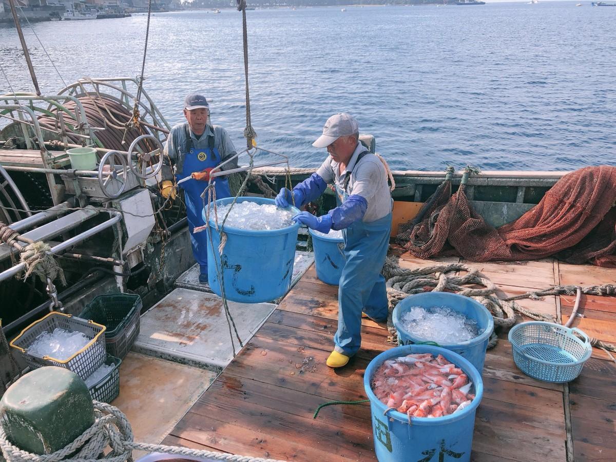 深海魚漁の様子