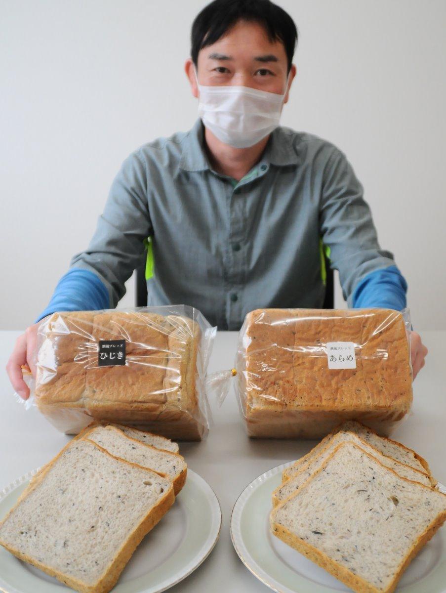 志摩産のヒジキとアラメ練り込んだ「潮風ブレッド」 給食余剰食材で
