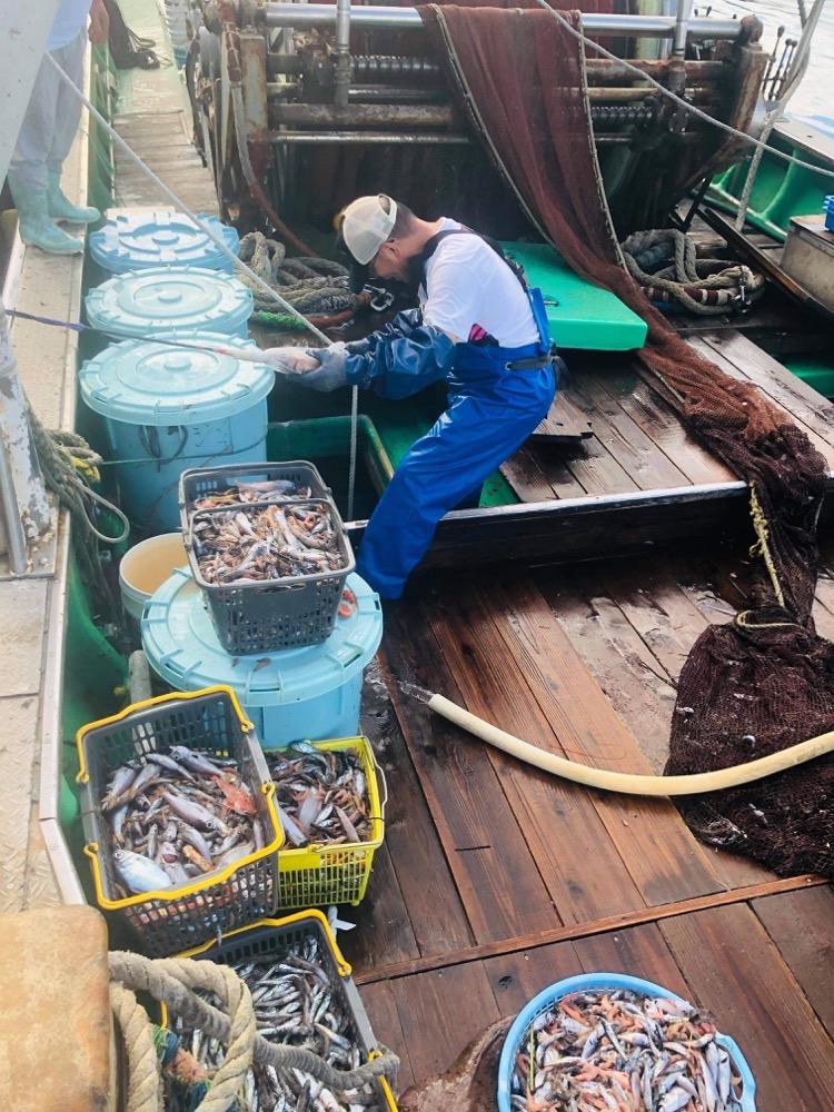 様々な深海魚を水揚げした漁師
