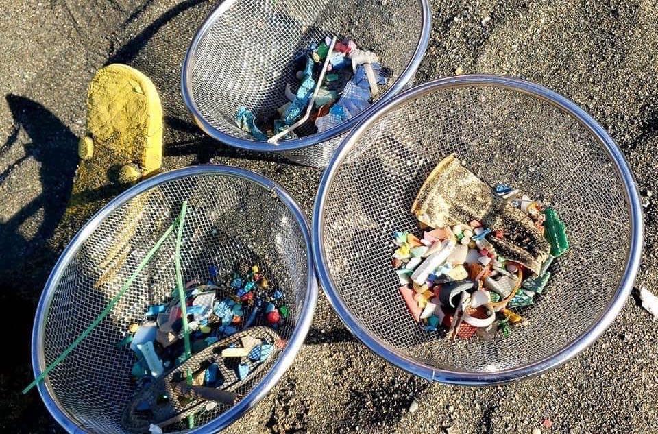 実際に片瀬海岸で集められたマイクロプラスチックごみ