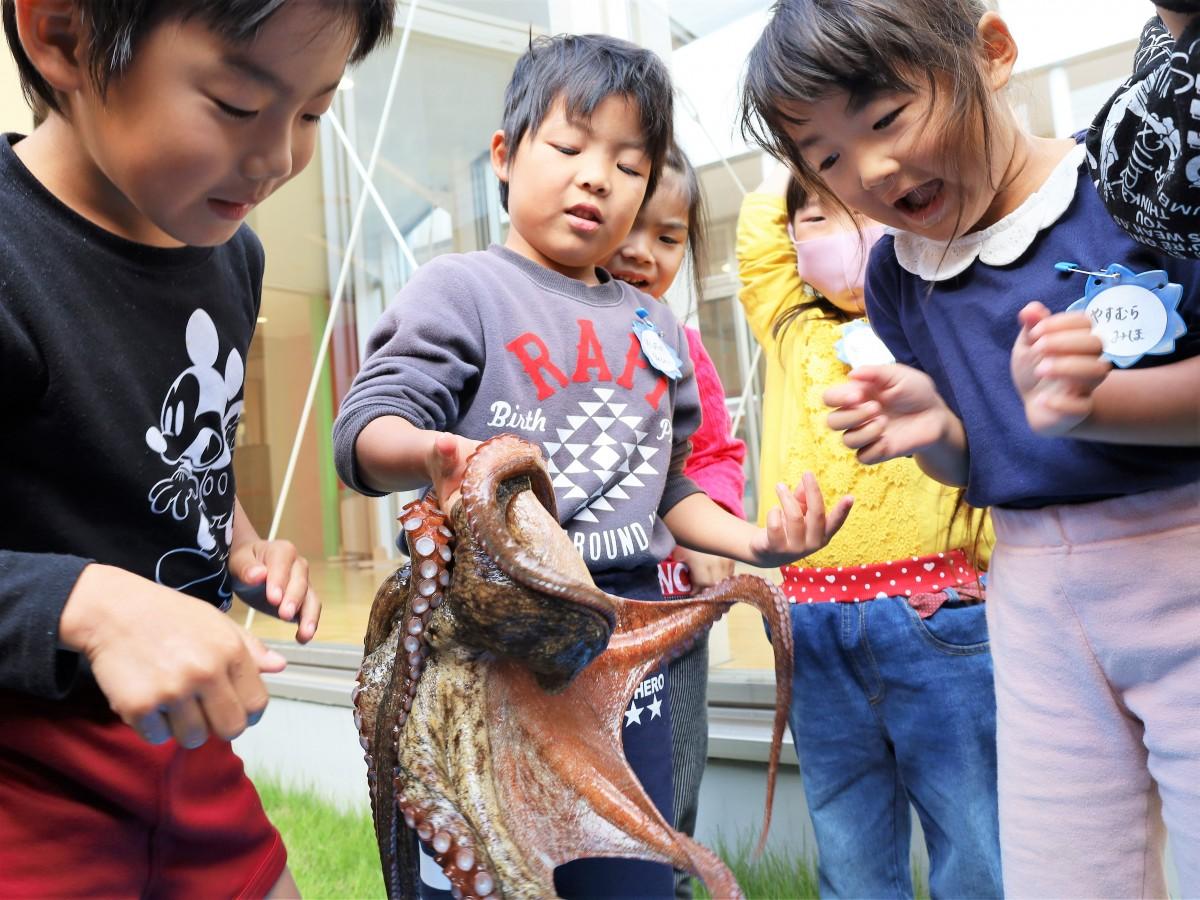 タコを持ち上げる園児