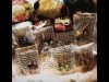 与野の古民家で「水曜日のコンドウサンチ」 学び・趣味などの場を提供