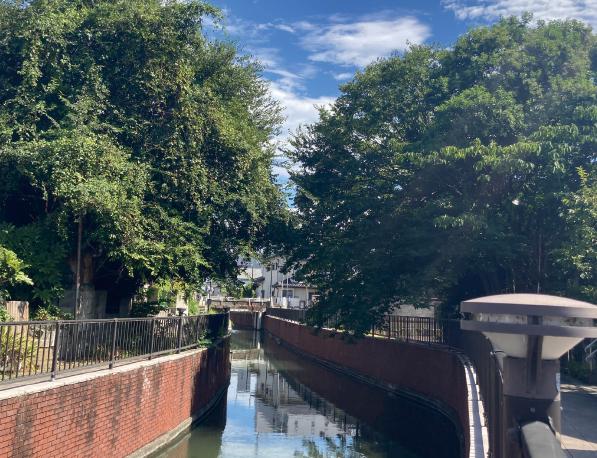 浦安市 境川上流