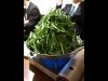 宇都宮の「鍋やmaruni」がリニューアル 栃木県産「ニラ」大盛りの鍋を名物に