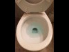 バンクーバー市がトイレの水漏れチェックコンテスト トイレットペーパー1年分