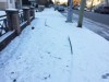バンクーバー市が塩を無料配布 除雪作業追い付かない市民を援助