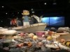 バンクーバー水族館で企画展示 プラスチックごみが海に及ぼす影響訴える