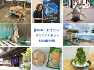 夏休みに行きたいイベントや新名所をご紹介！和歌経オススメスポット特集2026夏