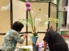 和歌山の映画館で「池坊」和歌山支部が生け花展示 映画「花戦さ」公開記念で