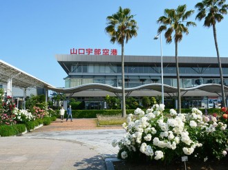 美祢の多肉植物専門店「小さな糸」が於福に移転 店内にハンドメード 美祢の多肉植物専門店「小さな糸」が於福に移転 店内にハンドメード