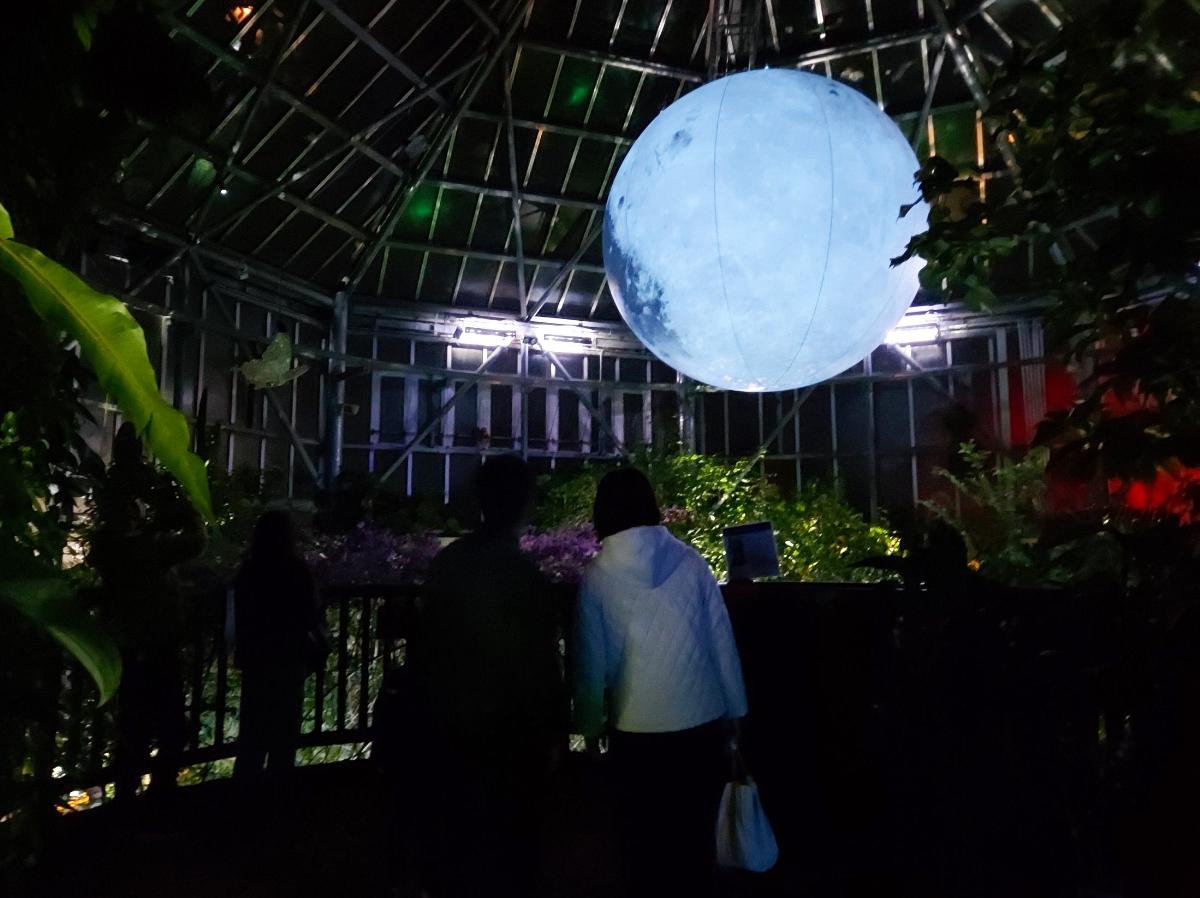 「ナイトミュージアム」の北中アメリカゾーンに浮かぶ直径3.5メートルの巨大な月