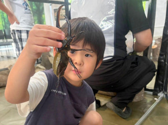 宇部の植物館で「夏休み特別企画」　涼しい夜にカブクワや夜咲花観賞