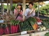 リドレ横須賀で「食彩マーケット」 三浦半島の食材が集合